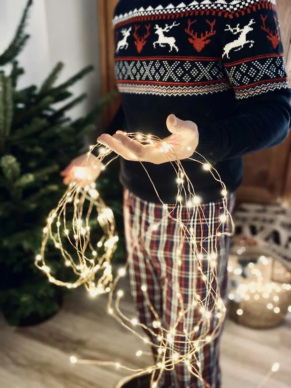 A dark Fair Isle reindeer sweater worn with plaid pants, holding a strand of fairy lights
